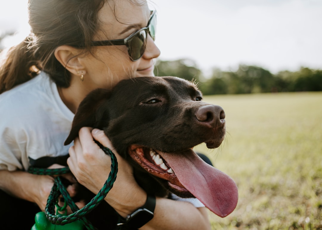 Photo dog park